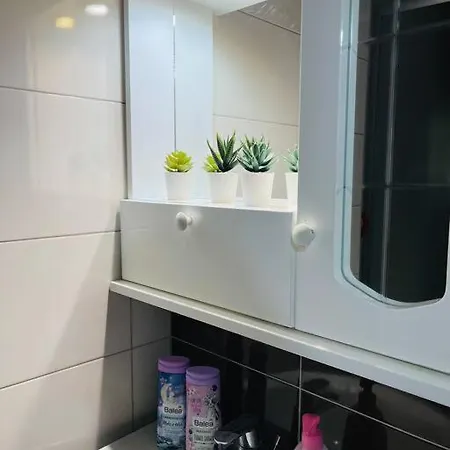 Апартаменти New Modern Rooftop Apartment-free Private Parking, Self Check-in Скоп'є