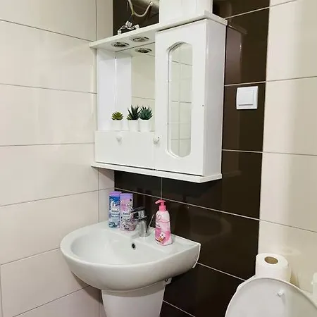 New Modern Rooftop Apartment-free Private Parking Skopje