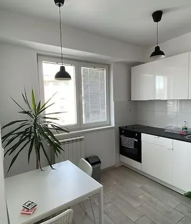 New Modern Rooftop Apartment-free Private Parking *