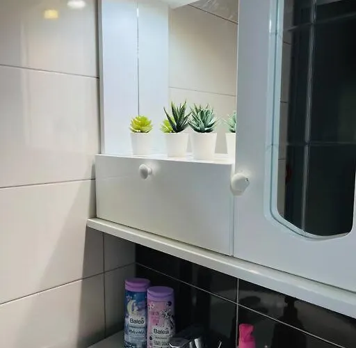 Apartman New Modern Rooftop Apartment-free Private Parking, Self Check-in Szkopje